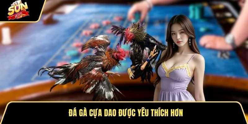 Đá gà cựa dao được yêu thích hơn