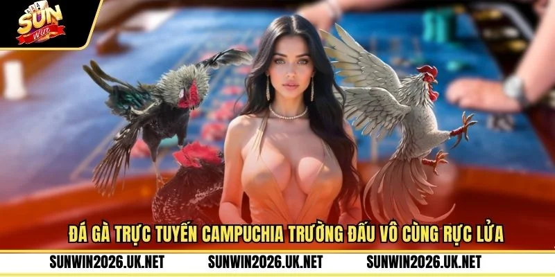 Đá Gà Trực Tuyến Campuchia Trường Đấu Vô Cùng Rực Lửa