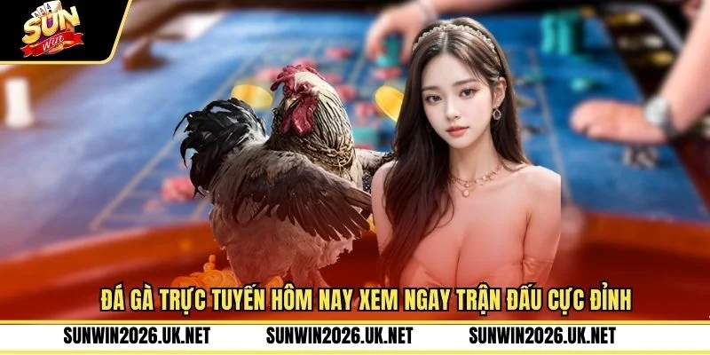 Đá Gà Trực Tuyến Hôm Nay Xem Ngay Trận Đấu Cực Đỉnh