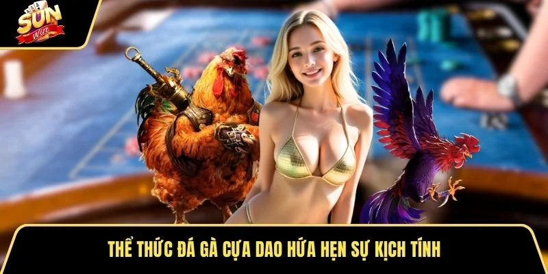 Thể thức đá gà cựa dao hứa hẹn sự kịch tính