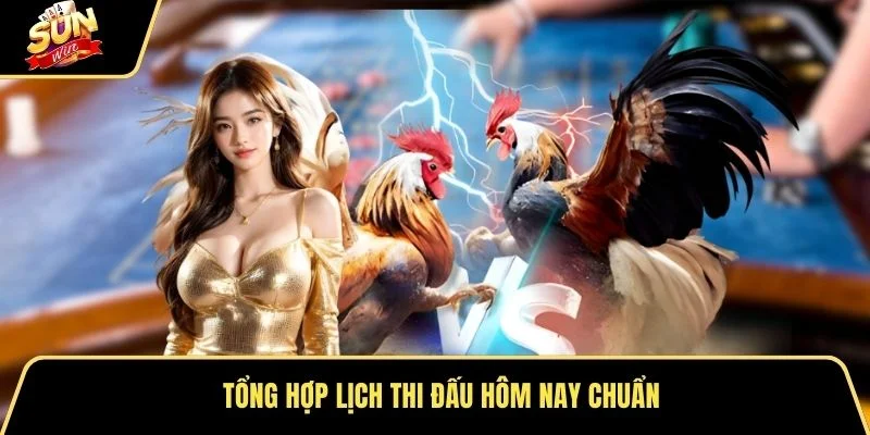 Tổng hợp lịch thi đấu hôm nay chuẩn