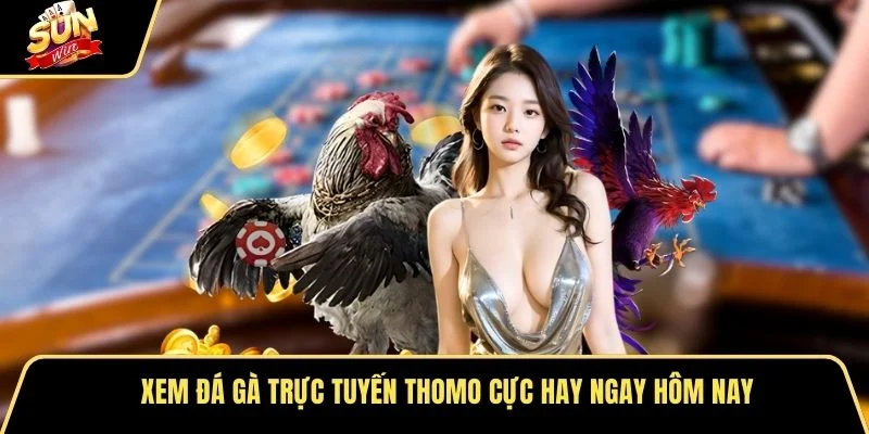 Xem đá gà trực tuyến thomo cực hay ngay hôm nay